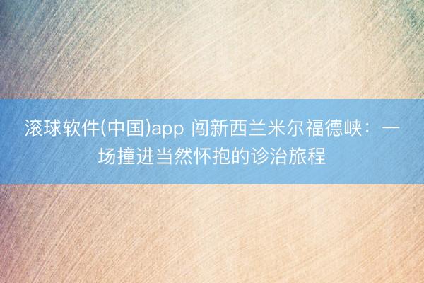 滚球软件(中国)app 闯新西兰米尔福德峡：一场撞进当然怀抱的诊治旅程