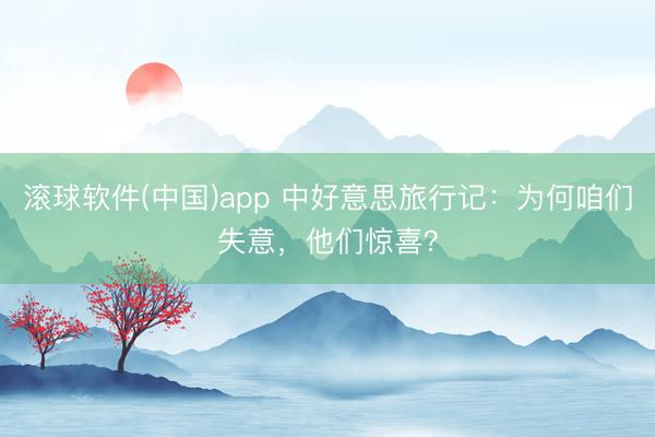 滚球软件(中国)app 中好意思旅行记：为何咱们失意，他们惊喜？