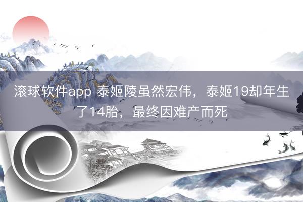 滚球软件app 泰姬陵虽然宏伟，泰姬19却年生了14胎，最终因难产而死