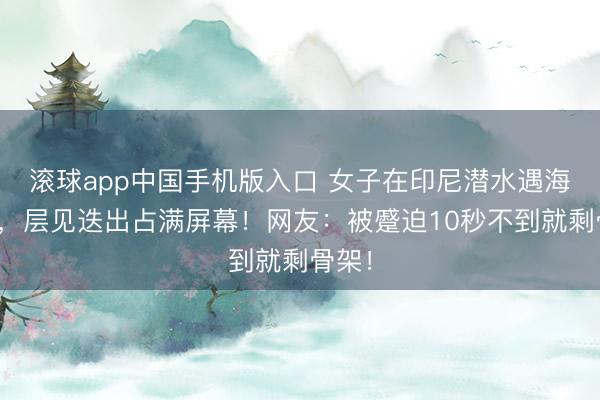 滚球app中国手机版入口 女子在印尼潜水遇海狼群，层见迭出占满屏幕！网友：被蹙迫10秒不到就剩骨架！