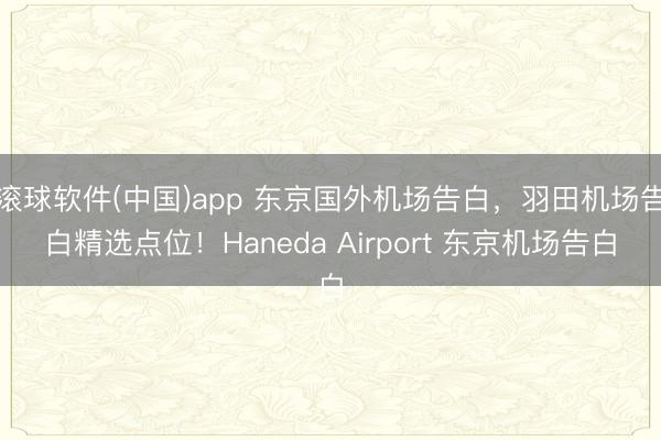 滚球软件(中国)app 东京国外机场告白，羽田机场告白精选点位！Haneda Airport 东京机场告白