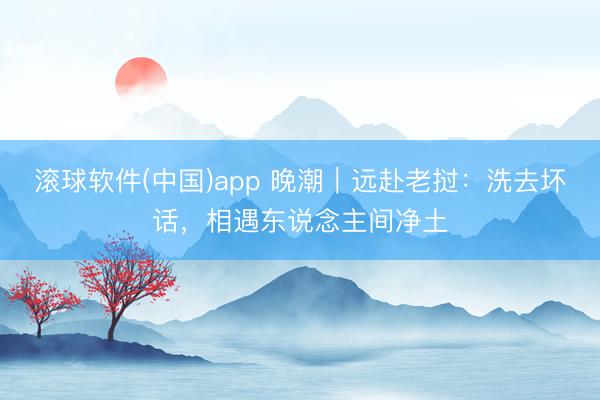 滚球软件(中国)app 晚潮｜远赴老挝：洗去坏话，相遇东说念主间净土