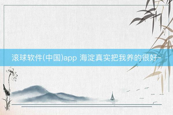 滚球软件(中国)app 海淀真实把我养的很好~