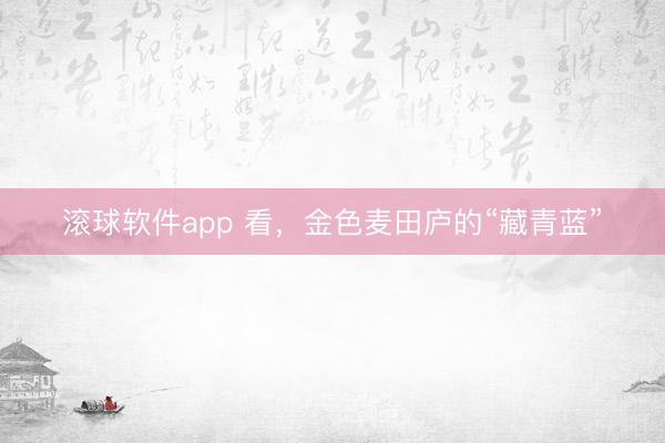 滚球软件app 看，金色麦田庐的“藏青蓝”