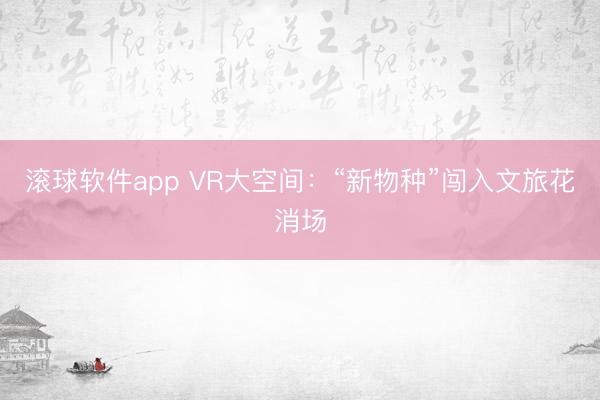 滚球软件app VR大空间：“新物种”闯入文旅花消场