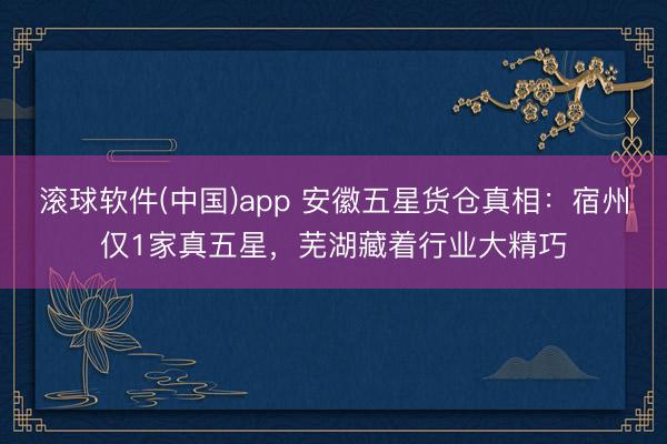 滚球软件(中国)app 安徽五星货仓真相：宿州仅1家真五星，芜湖藏着行业大精巧