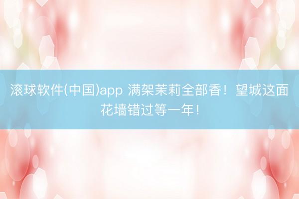 滚球软件(中国)app 满架茉莉全部香！望城这面花墙错过等一年！