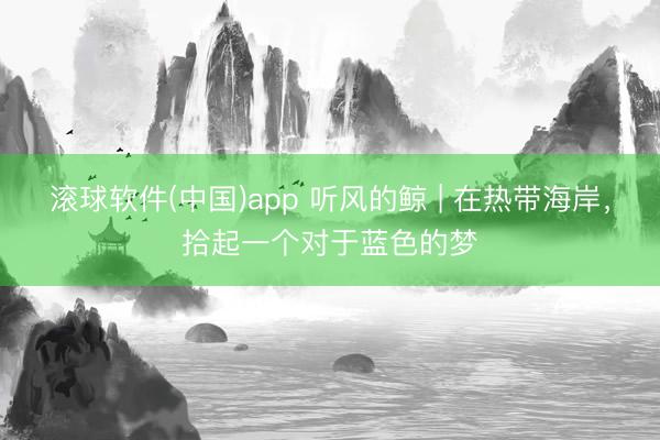 滚球软件(中国)app 听风的鲸 | 在热带海岸，拾起一个对于蓝色的梦