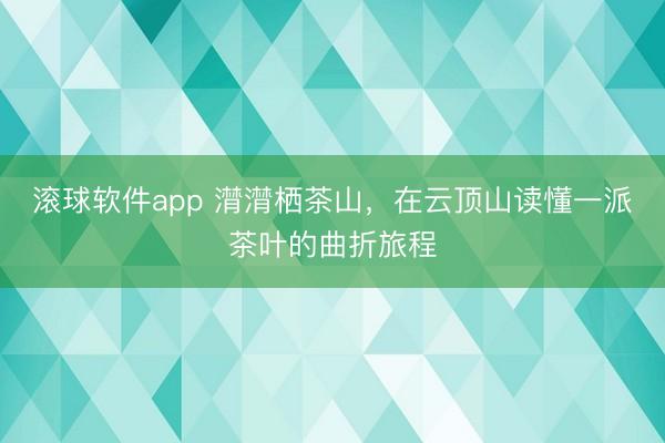 滚球软件app 潸潸栖茶山,在云顶山读懂一派茶叶的曲折旅程
