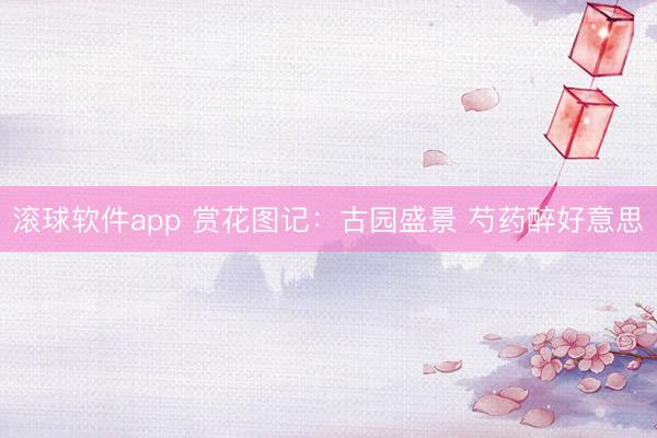 滚球软件app 赏花图记:古园盛景 芍药醉好意思