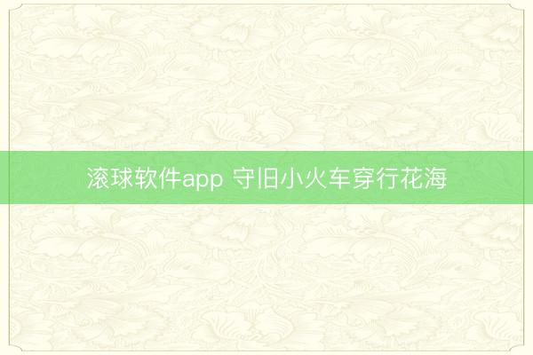 滚球软件app 守旧小火车穿行花海