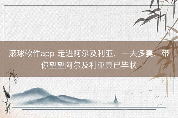 滚球软件app 走进阿尔及利亚,一夫多妻,带你望望阿尔及利亚真已毕状