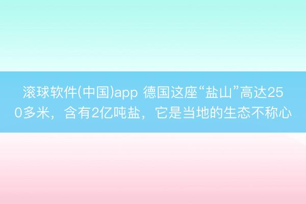 滚球软件(中国)app 德国这座“盐山”高达250多米,含有2亿吨盐,它是当地的生态不称心
