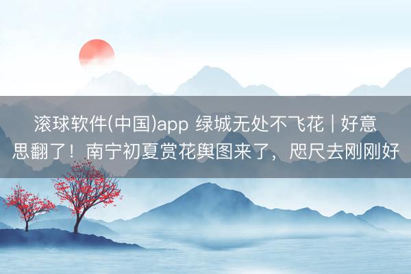 滚球软件(中国)app 绿城无处不飞花 | 好意思翻了!南宁初夏赏花舆图来了,咫尺去刚刚好