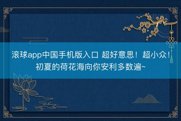 滚球app中国手机版入口 超好意思！超小众！初夏的荷花海向你安利多数遍~