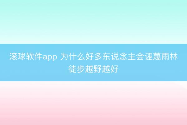 滚球软件app 为什么好多东说念主会诬蔑雨林徒步越野越好