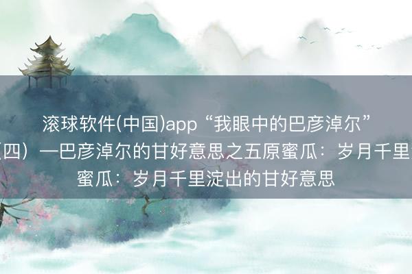 滚球软件(中国)app “我眼中的巴彦淖尔”搜集作品展出（四）—巴彦淖尔的甘好意思之五原蜜瓜：岁月千里淀出的甘好意思
