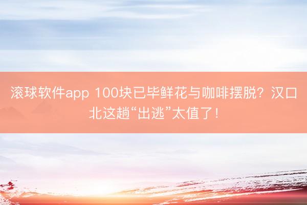 滚球软件app 100块已毕鲜花与咖啡摆脱？汉口北这趟“出逃”太值了！