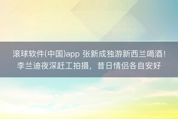 滚球软件(中国)app 张新成独游新西兰喝酒！李兰迪夜深赶工拍摄，昔日情侣各自安好