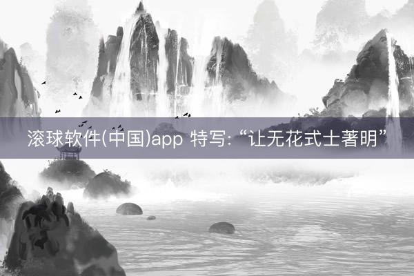 滚球软件(中国)app 特写: “让无花式士著明”