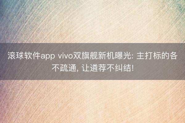滚球软件app vivo双旗舰新机曝光: 主打标的各不疏通， 让遴荐不纠结!