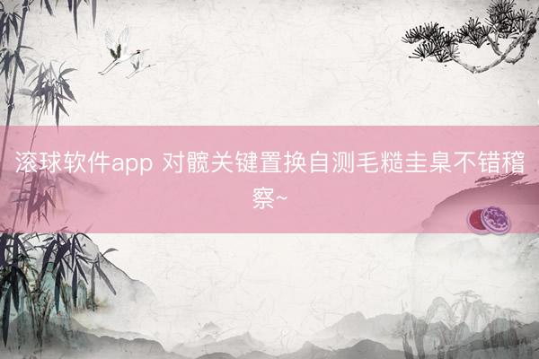 滚球软件app 对髋关键置换自测毛糙圭臬不错稽察~