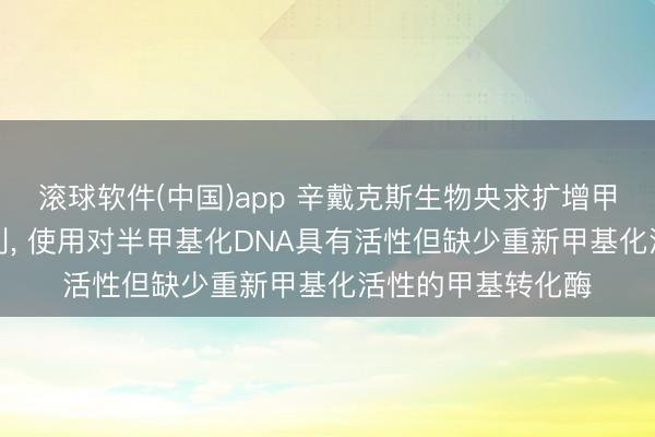 滚球软件(中国)app 辛戴克斯生物央求扩增甲基化DNA格局专利， 使用对半甲基化DNA具有活性但缺少重新甲基化活性的甲基转化酶