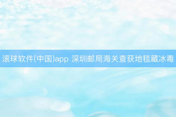 滚球软件(中国)app 深圳邮局海关查获地毯藏冰毒