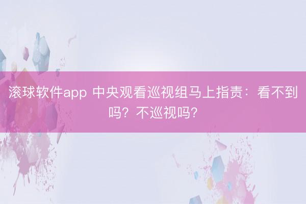滚球软件app 中央观看巡视组马上指责：看不到吗？不巡视吗？