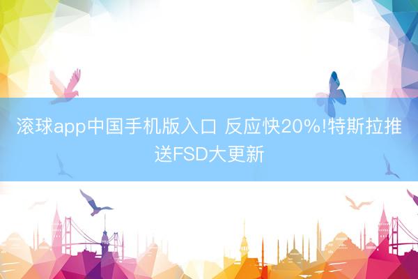 滚球app中国手机版入口 反应快20%!特斯拉推送FSD大更新