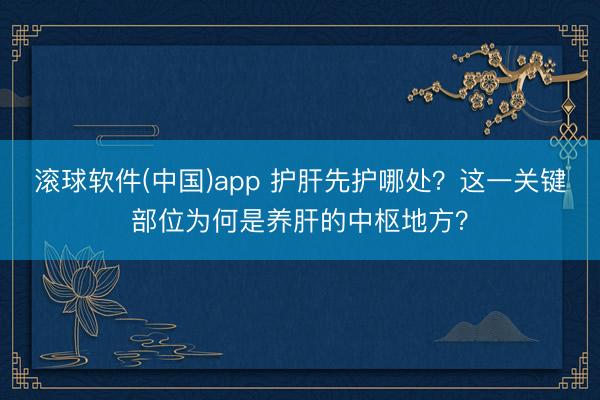 滚球软件(中国)app 护肝先护哪处？这一关键部位为何是养肝的中枢地方？