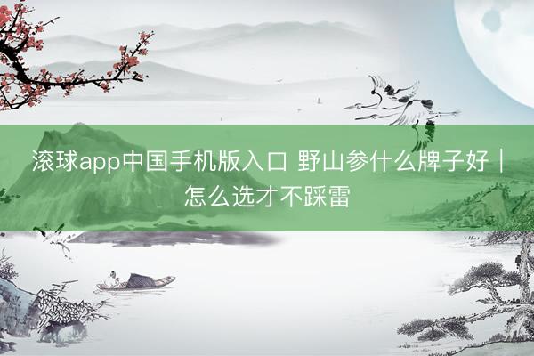 滚球app中国手机版入口 野山参什么牌子好｜怎么选才不踩雷