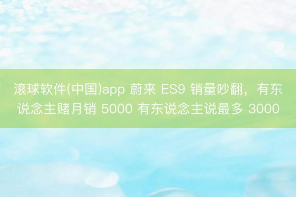 滚球软件(中国)app 蔚来 ES9 销量吵翻，有东说念主赌月销 5000 有东说念主说最多 3000
