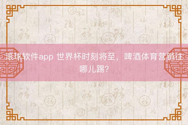 滚球软件app 世界杯时刻将至,啤酒体育营销往哪儿踢?