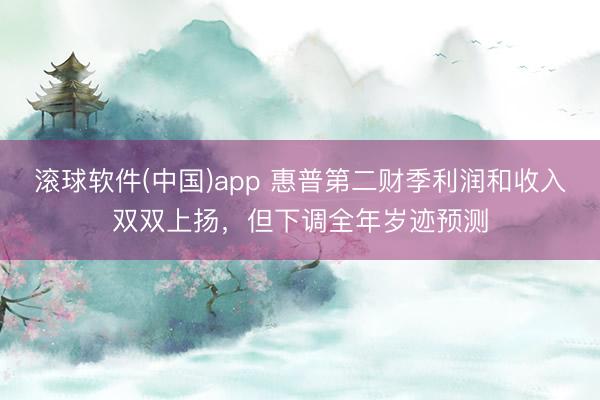 滚球软件(中国)app 惠普第二财季利润和收入双双上扬，但下调全年岁迹预测