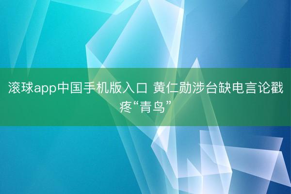 滚球app中国手机版入口 黄仁勋涉台缺电言论戳疼“青鸟”