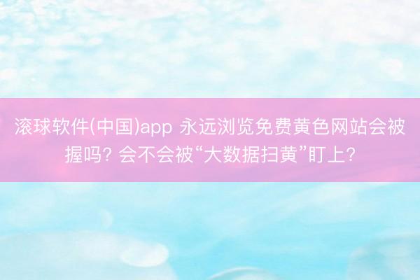 滚球软件(中国)app 永远浏览免费黄色网站会被握吗? 会不会被“大数据扫黄”盯上?