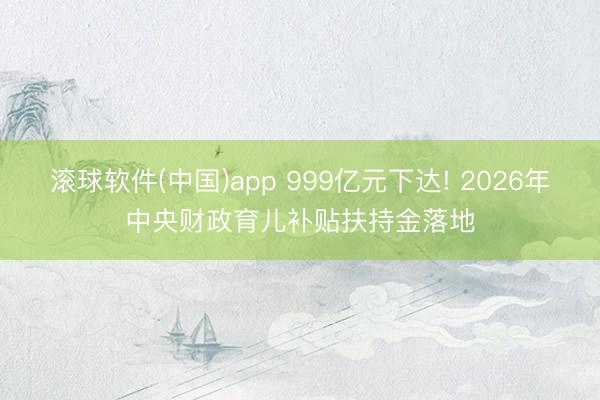 滚球软件(中国)app 999亿元下达! 2026年中央财政育儿补贴扶持金落地