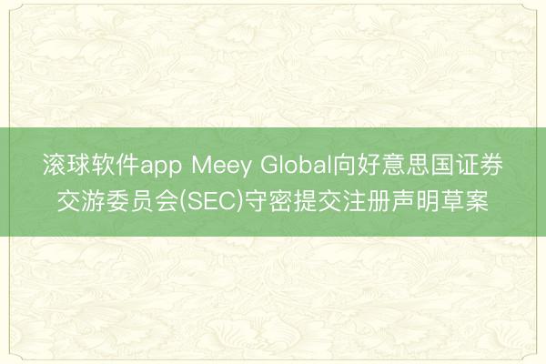 滚球软件app Meey Global向好意思国证券交游委员会(SEC)守密提交注册声明草案