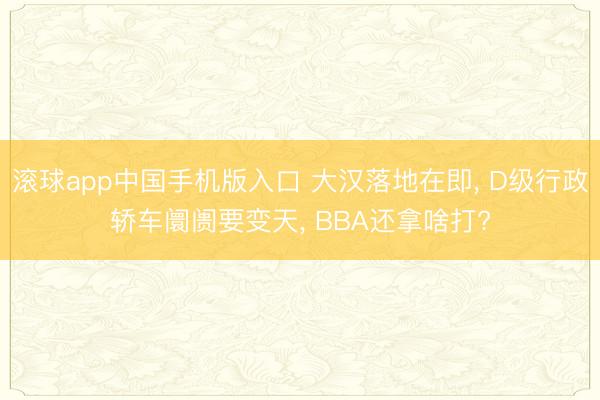 滚球app中国手机版入口 大汉落地在即， D级行政轿车阛阓要变天， BBA还拿啥打?