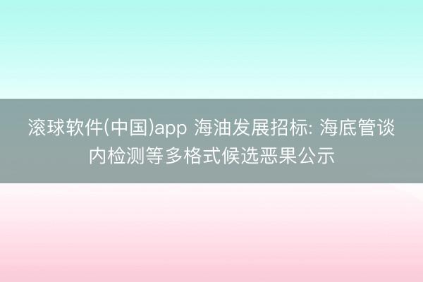 滚球软件(中国)app 海油发展招标: 海底管谈内检测等多格式候选恶果公示