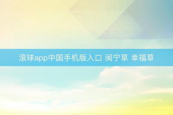 滚球app中国手机版入口 闽宁草 幸福草