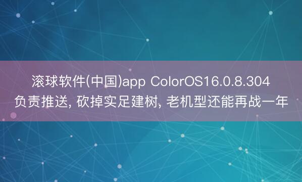 滚球软件(中国)app ColorOS16.0.8.304负责推送， 砍掉实足建树， 老机型还能再战一年