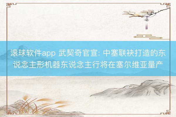 滚球软件app 武契奇官宣: 中塞联袂打造的东说念主形机器东说念主行将在塞尔维亚量产