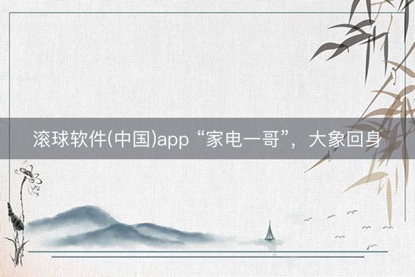 滚球软件(中国)app “家电一哥”，大象回身