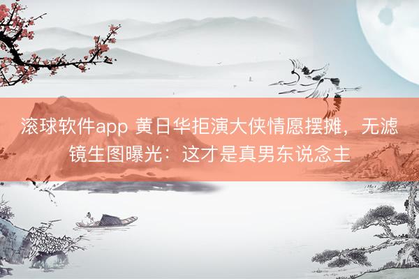 滚球软件app 黄日华拒演大侠情愿摆摊，无滤镜生图曝光：这才是真男东说念主