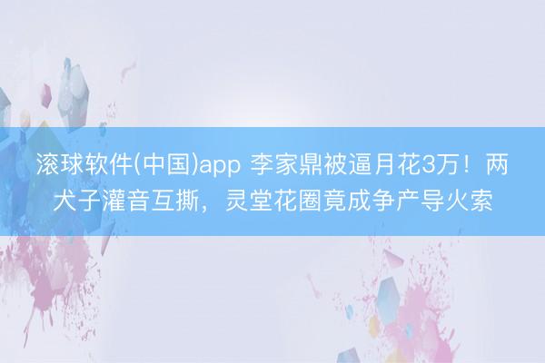 滚球软件(中国)app 李家鼎被逼月花3万！两犬子灌音互撕，灵堂花圈竟成争产导火索