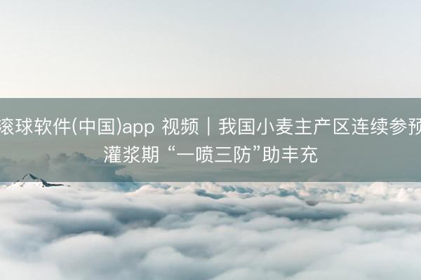 滚球软件(中国)app 视频｜我国小麦主产区连续参预灌浆期 “一喷三防”助丰充