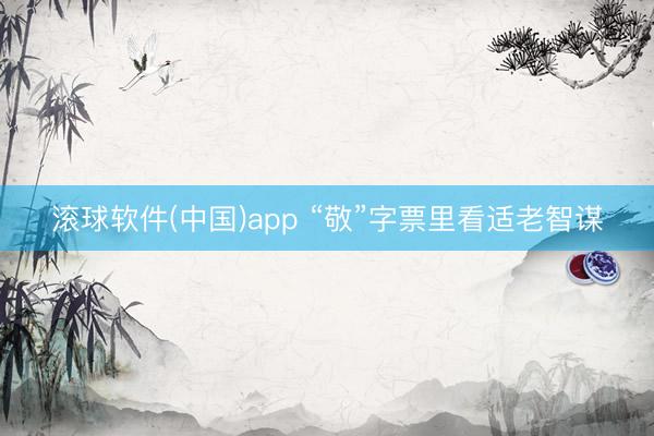 滚球软件(中国)app “敬”字票里看适老智谋
