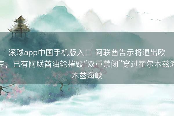 滚球app中国手机版入口 阿联酋告示将退出欧佩克，已有阿联酋油轮摧毁“双重禁闭”穿过霍尔木兹海峡